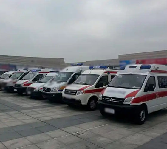 炎陵县服务车队展示